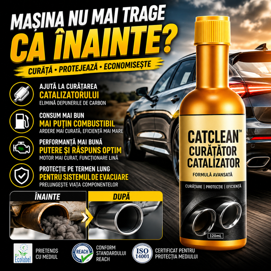 Soluție Pentru Curățarea Catalizatorului CatClean™