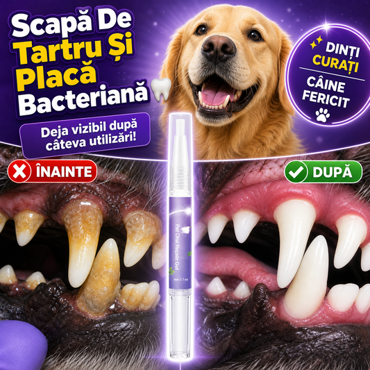 Gel Pentru Dinți Sănătoși La Animale – PetSmile™